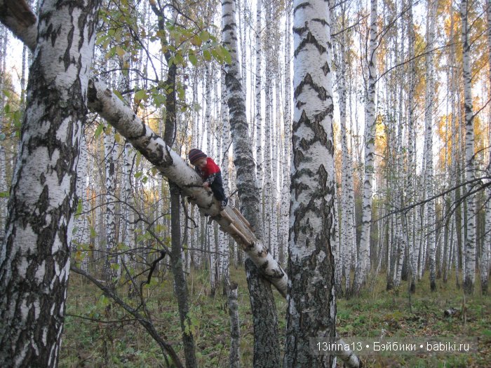 Прогулка в осеннем лесу чудесного, лучезарного малыша Адора