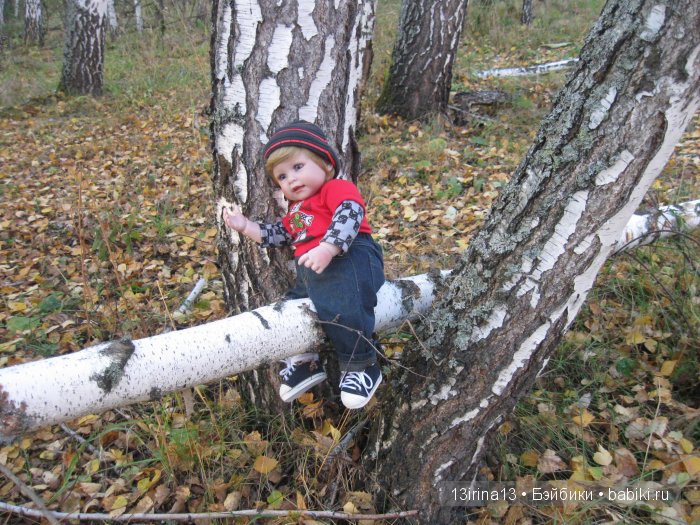 Прогулка в осеннем лесу чудесного, лучезарного малыша Адора