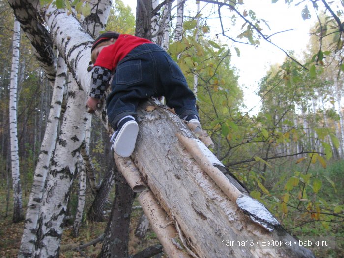Прогулка в осеннем лесу чудесного, лучезарного малыша Адора