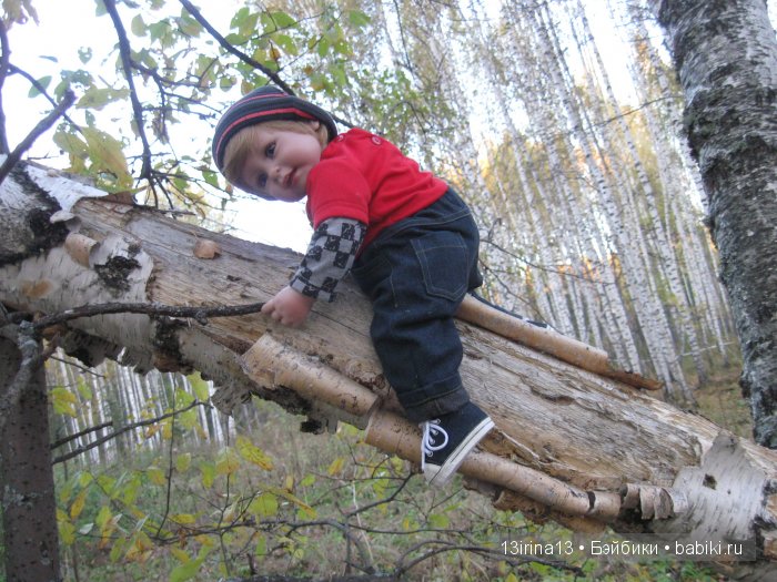 Прогулка в осеннем лесу чудесного, лучезарного малыша Адора
