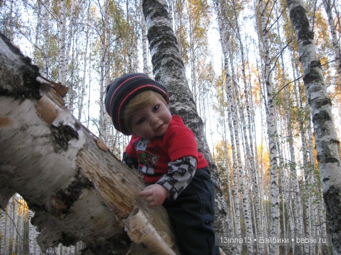 Прогулка в осеннем лесу чудесного, лучезарного малыша Адора