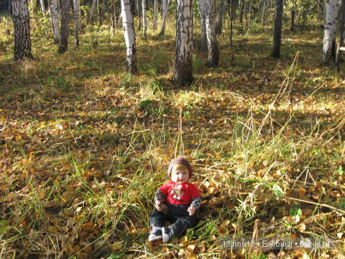 Прогулка в осеннем лесу чудесного, лучезарного малыша Адора