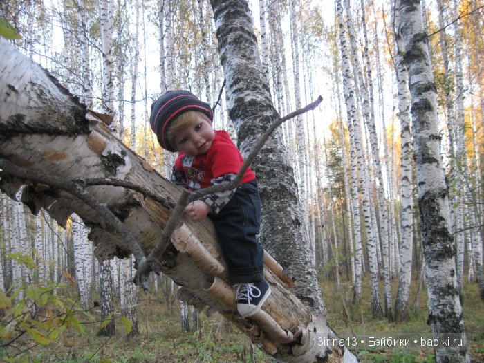 Прогулка в осеннем лесу чудесного, лучезарного малыша Адора