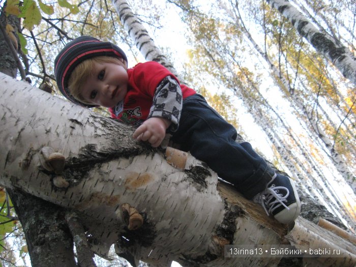Прогулка в осеннем лесу чудесного, лучезарного малыша Адора