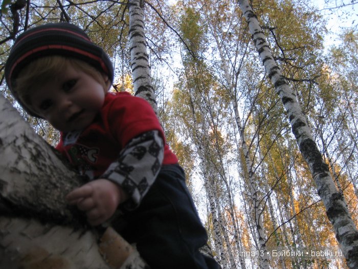 Прогулка в осеннем лесу чудесного, лучезарного малыша Адора