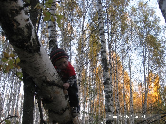 Прогулка в осеннем лесу чудесного, лучезарного малыша Адора