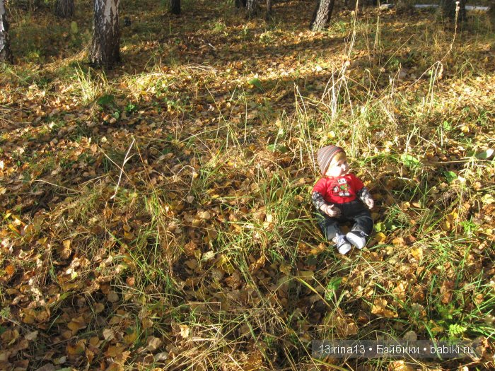 Прогулка в осеннем лесу чудесного, лучезарного малыша Адора