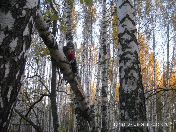 Прогулка в осеннем лесу чудесного, лучезарного малыша Адора
