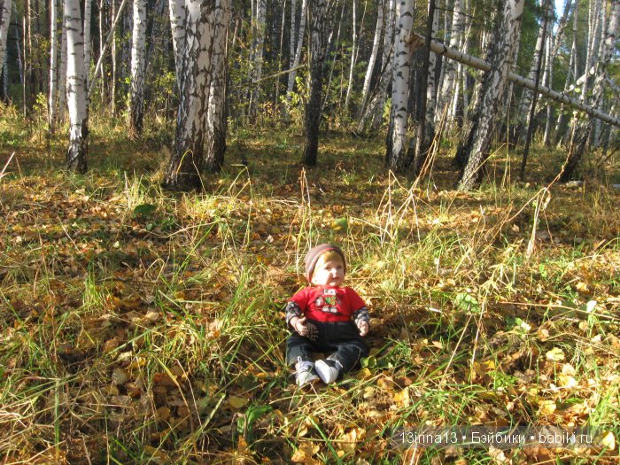 Прогулка в осеннем лесу чудесного, лучезарного малыша Адора