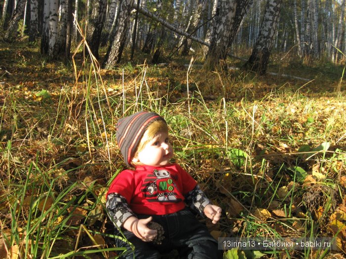 Прогулка в осеннем лесу чудесного, лучезарного малыша Адора