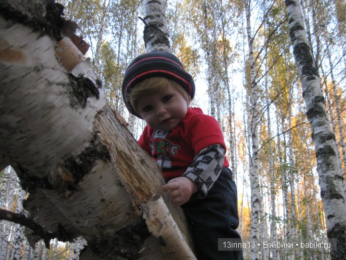 Прогулка в осеннем лесу чудесного, лучезарного малыша Адора