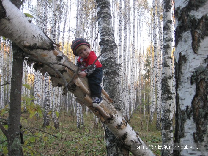 Прогулка в осеннем лесу чудесного, лучезарного малыша Адора