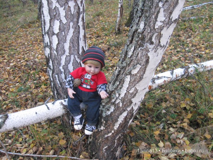 Прогулка в осеннем лесу чудесного, лучезарного малыша Адора
