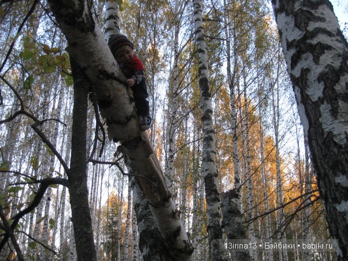 Прогулка в осеннем лесу чудесного, лучезарного малыша Адора