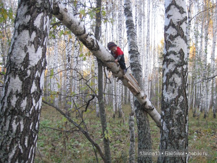 Прогулка в осеннем лесу чудесного, лучезарного малыша Адора