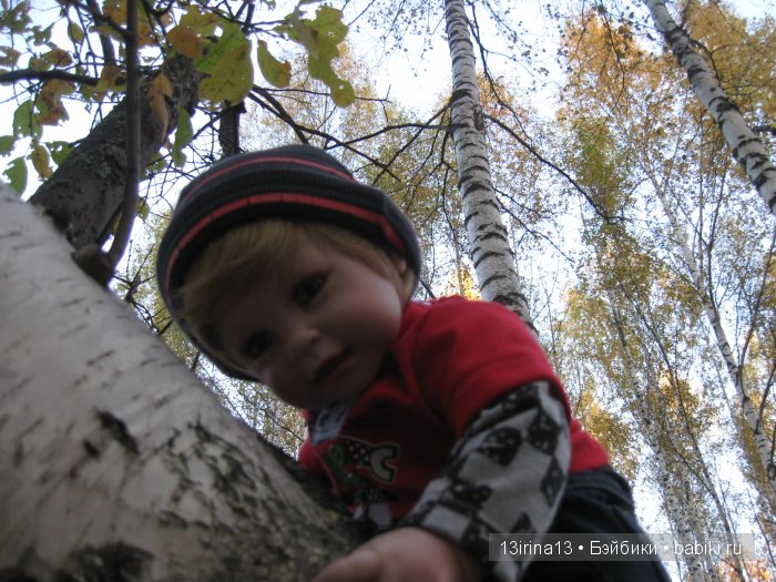 Прогулка в осеннем лесу чудесного, лучезарного малыша Адора