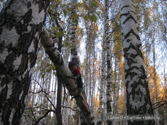 Прогулка в осеннем лесу чудесного, лучезарного малыша Адора