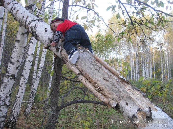 Прогулка в осеннем лесу чудесного, лучезарного малыша Адора