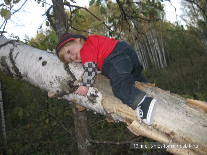 Прогулка в осеннем лесу чудесного, лучезарного малыша Адора