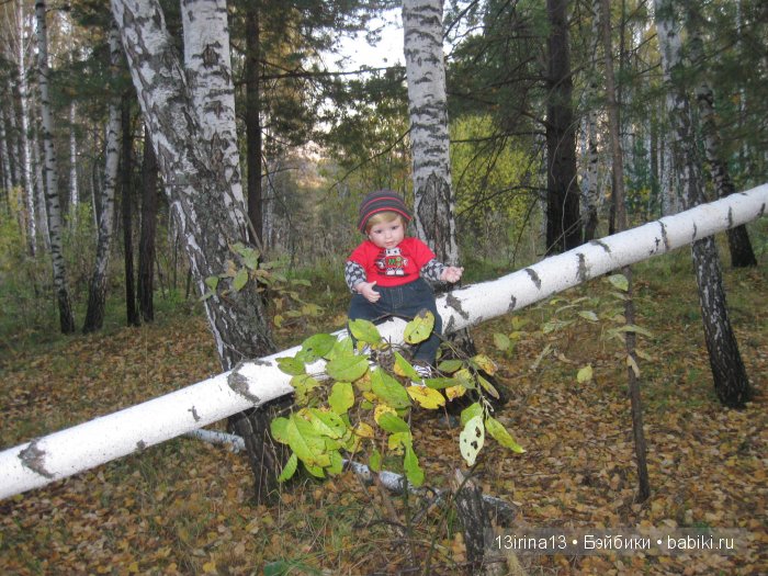 Прогулка в осеннем лесу чудесного, лучезарного малыша Адора