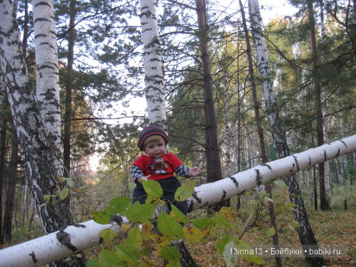 Прогулка в осеннем лесу чудесного, лучезарного малыша Адора