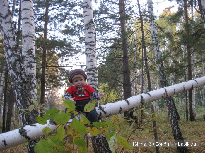 Прогулка в осеннем лесу чудесного, лучезарного малыша Адора