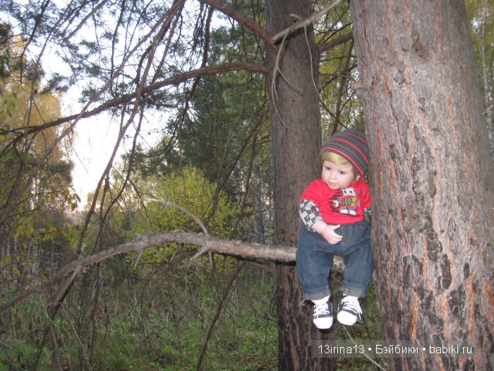 Прогулка в осеннем лесу чудесного, лучезарного малыша Адора