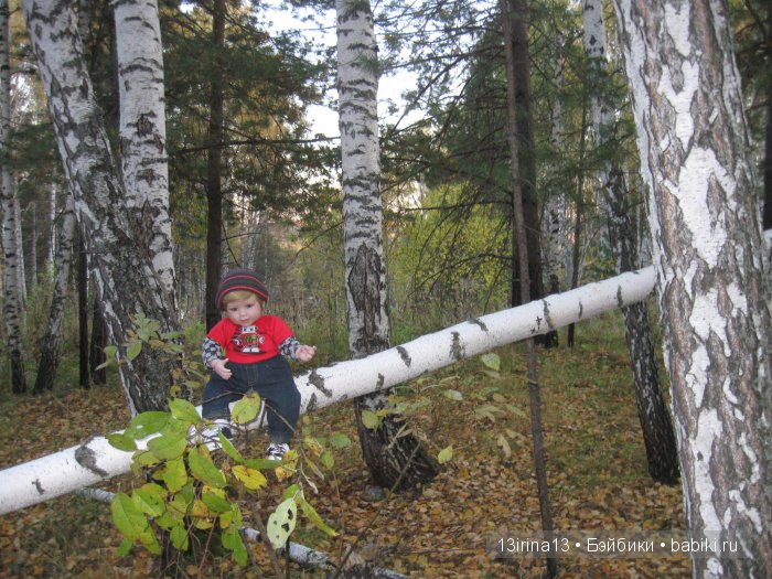 Прогулка в осеннем лесу чудесного, лучезарного малыша Адора