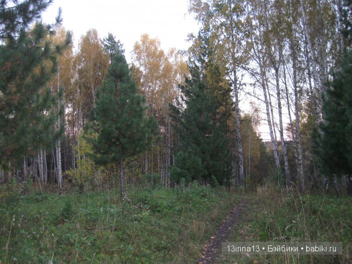 Мальчик Симон, девочка мини-Адорочка и осень