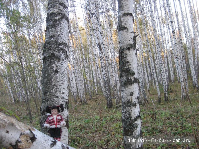 Мальчик Симон, девочка мини-Адорочка и осень