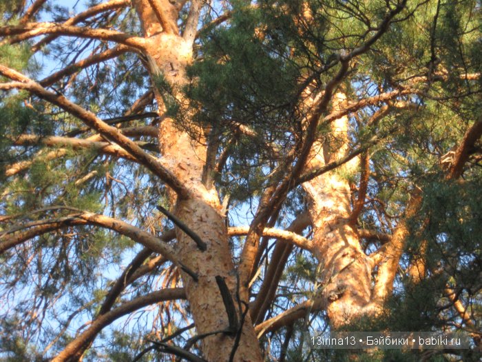 Мальчик Симон, девочка мини-Адорочка и осень