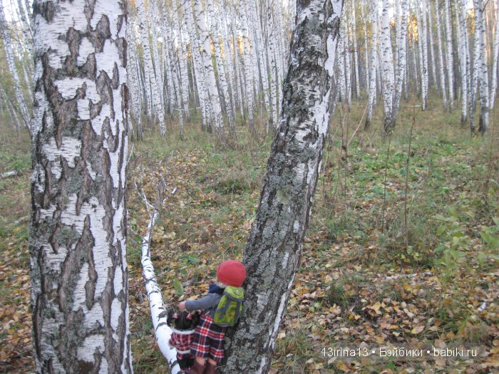 Мальчик Симон, девочка мини-Адорочка и осень