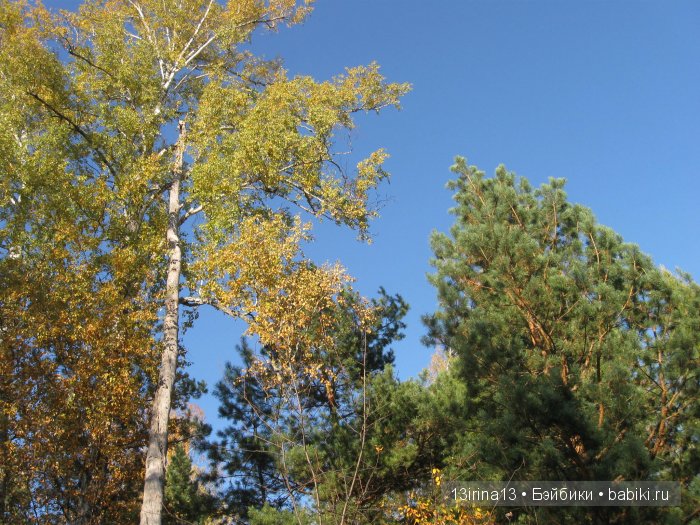 Мальчик Симон, девочка мини-Адорочка и осень