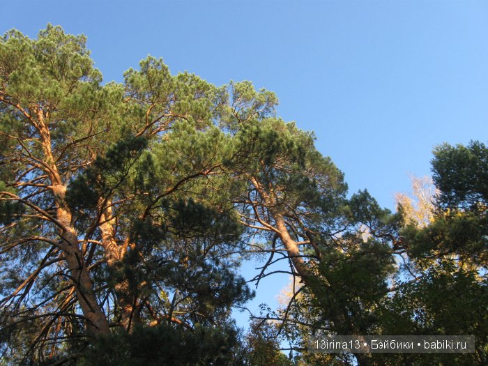Мальчик Симон, девочка мини-Адорочка и осень