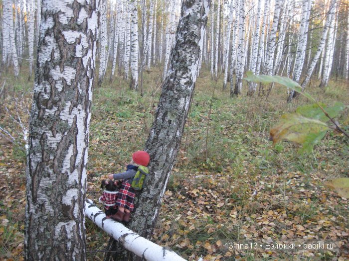 Мальчик Симон, девочка мини-Адорочка и осень