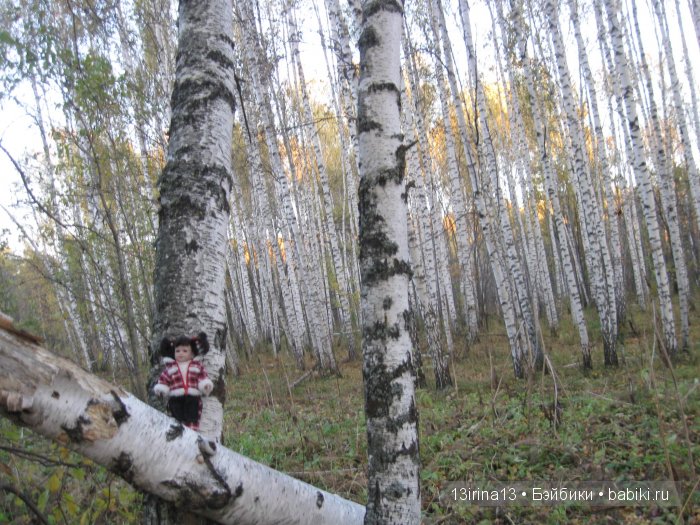 Мальчик Симон, девочка мини-Адорочка и осень