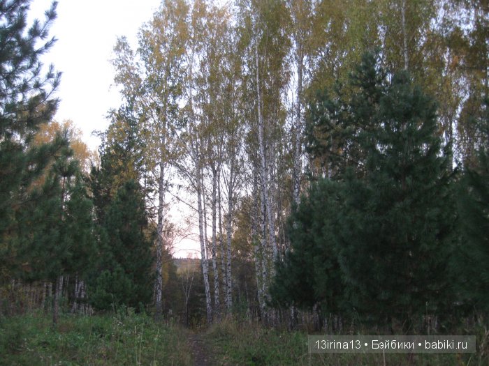 Мальчик Симон, девочка мини-Адорочка и осень (фото 10)