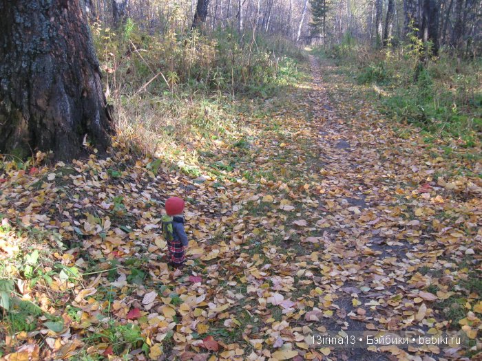 Мальчик Симон, девочка мини-Адорочка и осень