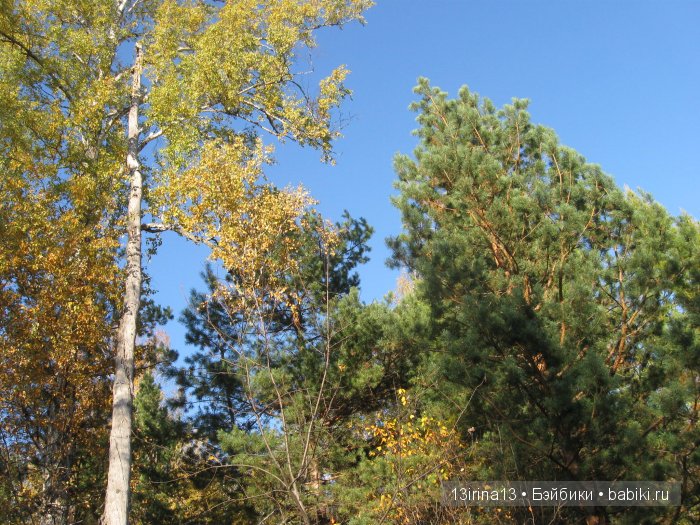 Мальчик Симон, девочка мини-Адорочка и осень