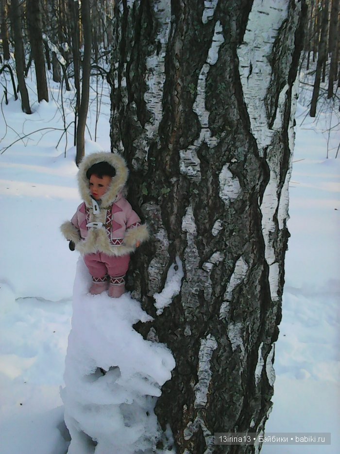 Интересное наблюдение за птицами у кормушки