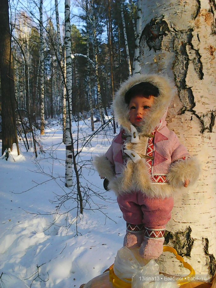 Интересное наблюдение за птицами у кормушки