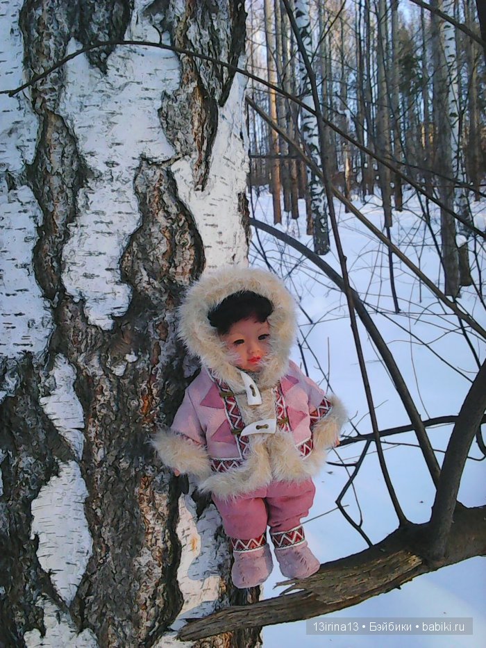 Интересное наблюдение за птицами у кормушки