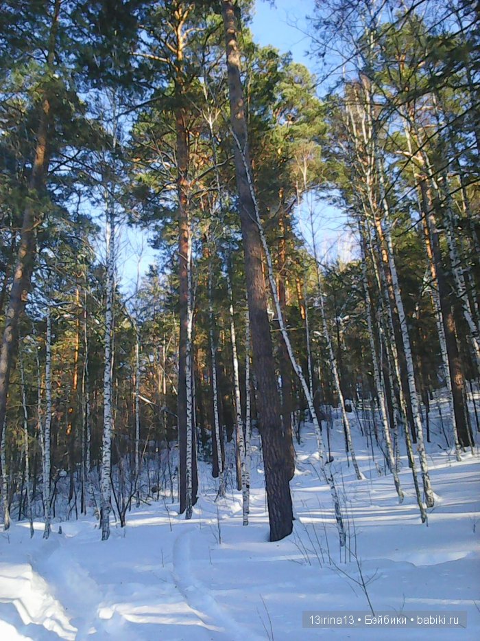 Интересное наблюдение за птицами у кормушки (фото 5)