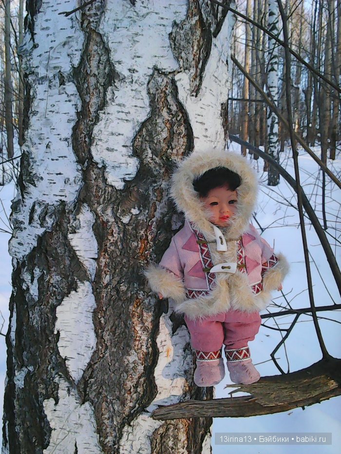 Интересное наблюдение за птицами у кормушки