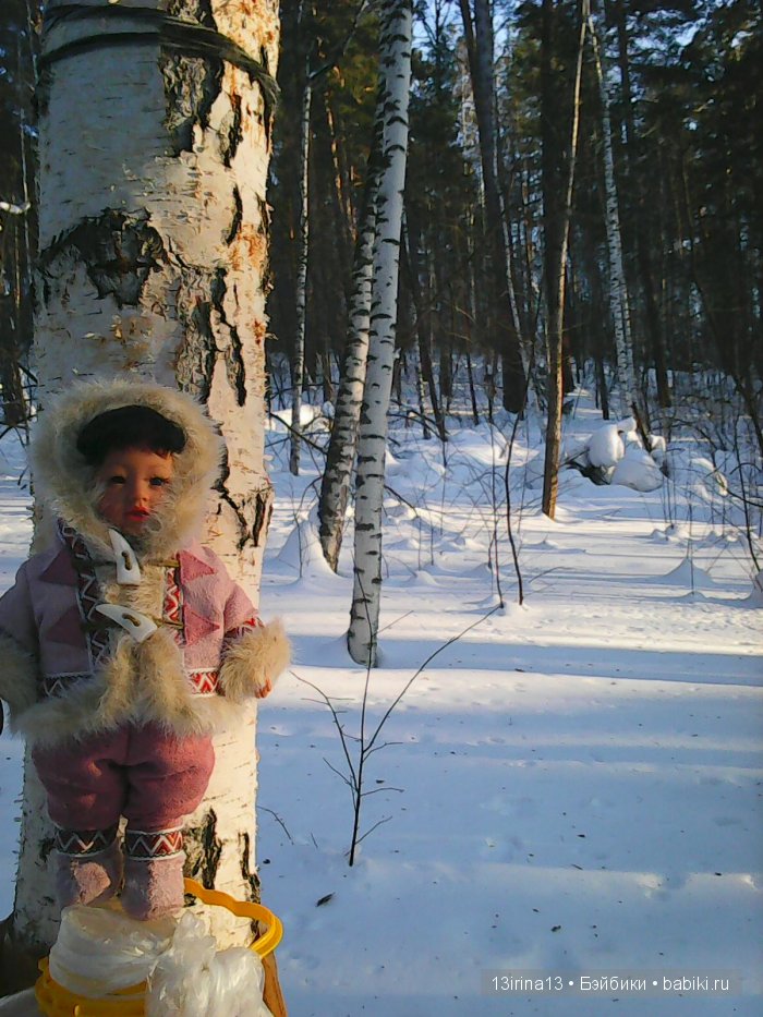 Интересное наблюдение за птицами у кормушки