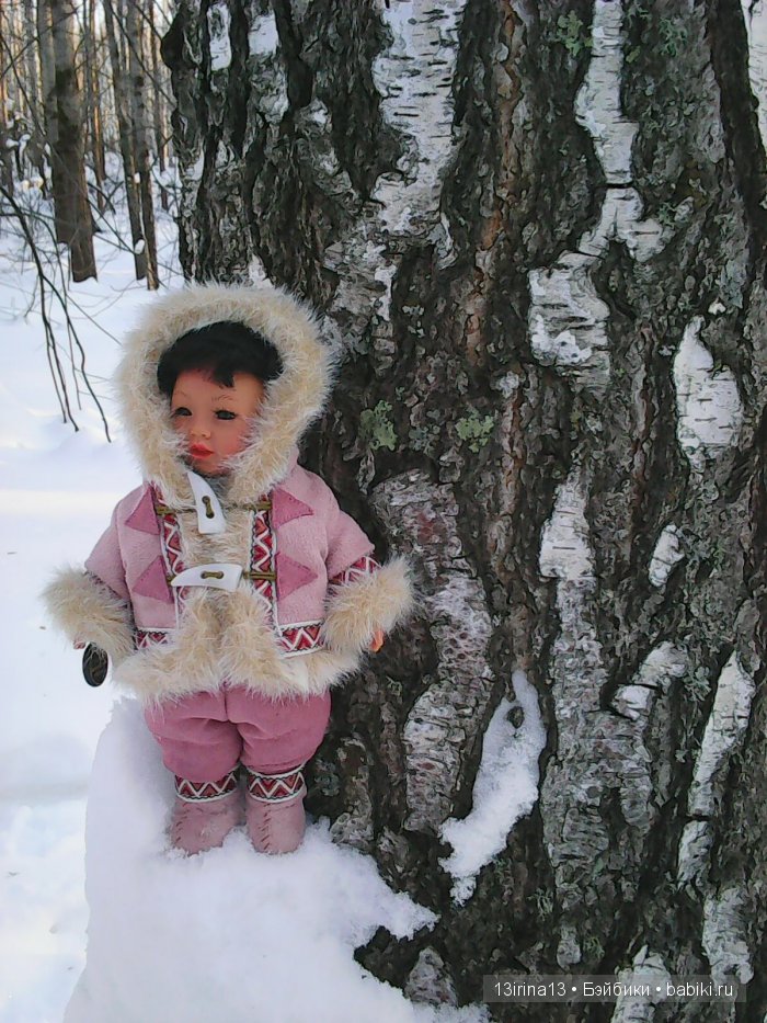 Интересное наблюдение за птицами у кормушки