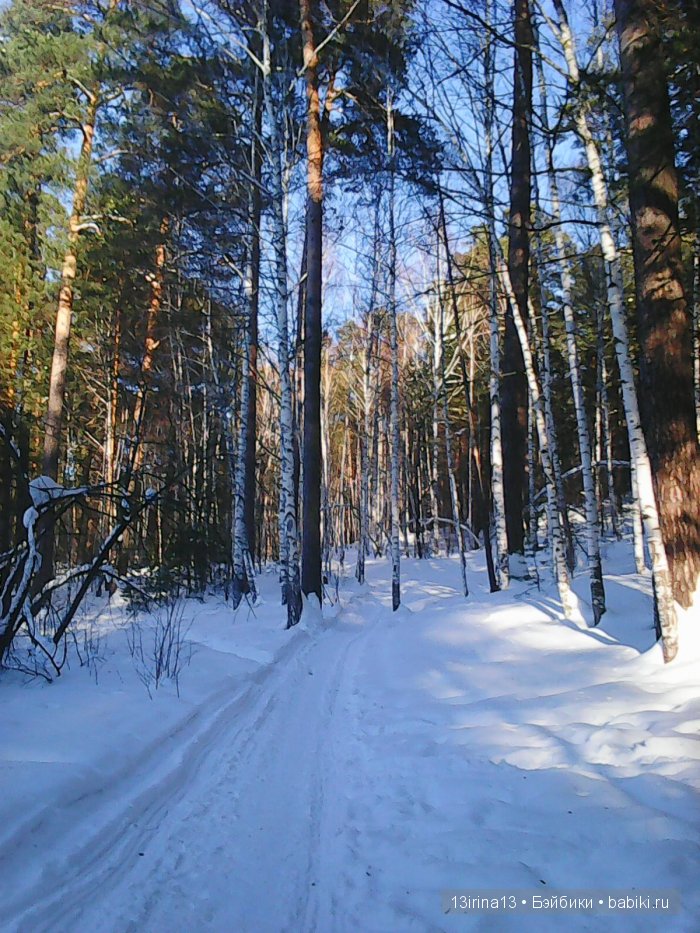 Интересное наблюдение за птицами у кормушки (фото 3)