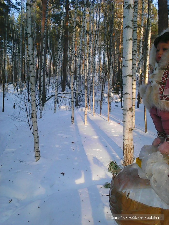 Интересное наблюдение за птицами у кормушки (фото 9)