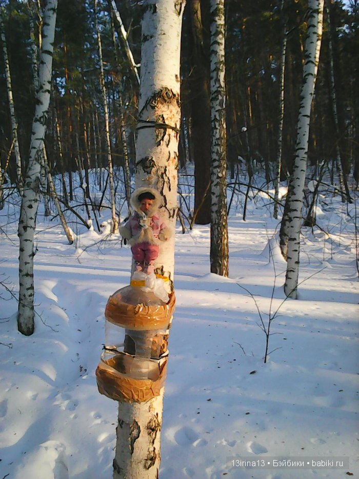 Интересное наблюдение за птицами у кормушки (фото 10)