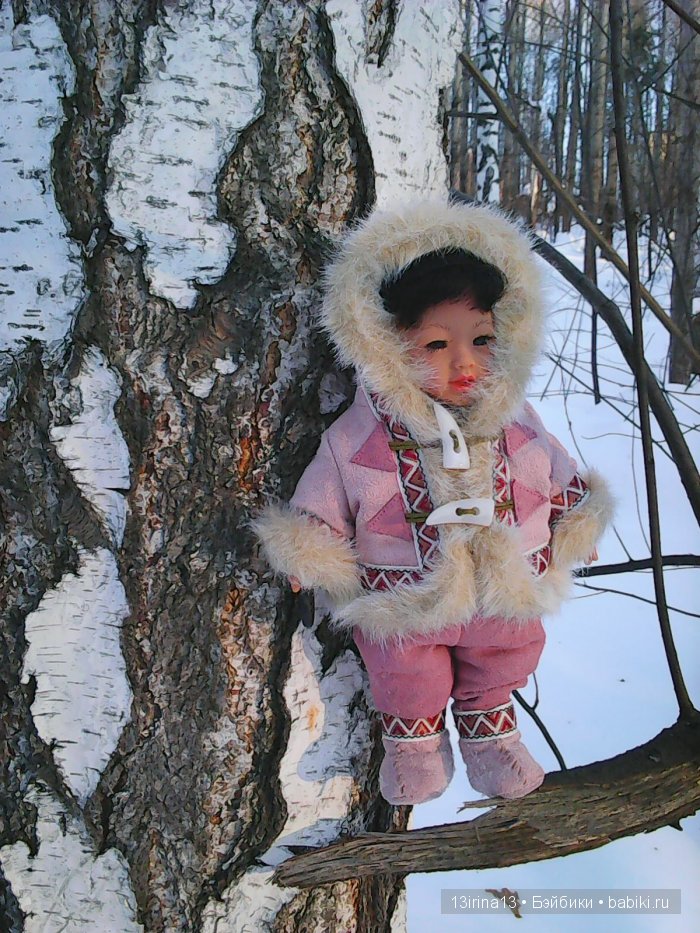 Интересное наблюдение за птицами у кормушки